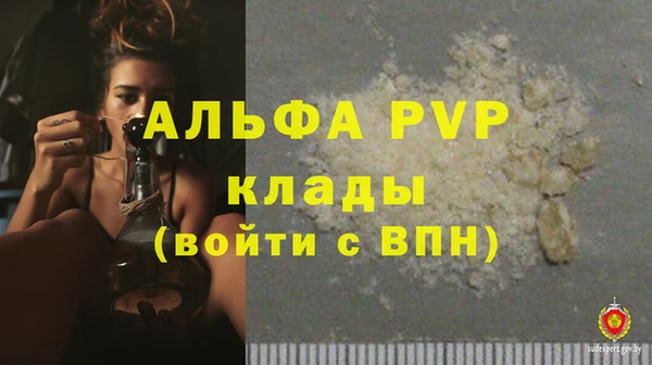 стаф Алексин