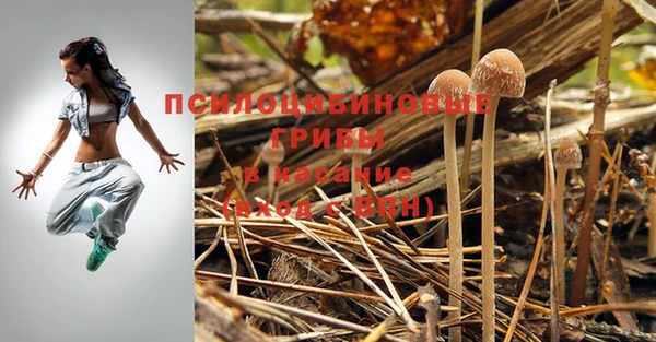 твердый Алексеевка
