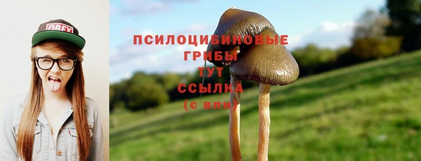 стаф Алексин