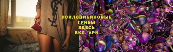 твердый Алексеевка